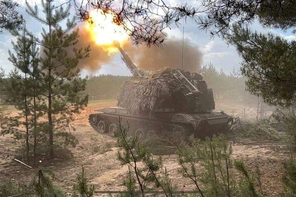 Самоходки уничтожили дроноводов ВСУ в районе Гуляйполя