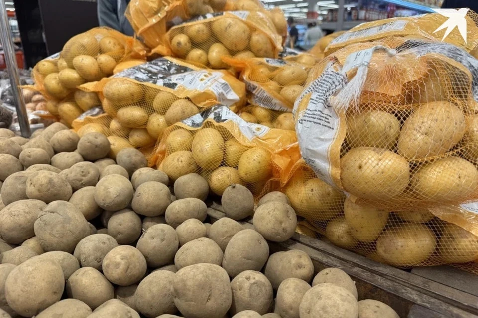 Минсельхозпрод и Белкоопсоюз озвучили прогноз по ситуации с картофелем в 2025 году. Снимок носит иллюстративный характер. Фото: архив «КП»