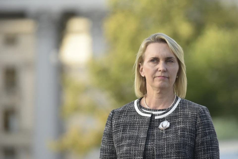 Зеленский может передать США компромат на экс-посла Украины Бринк