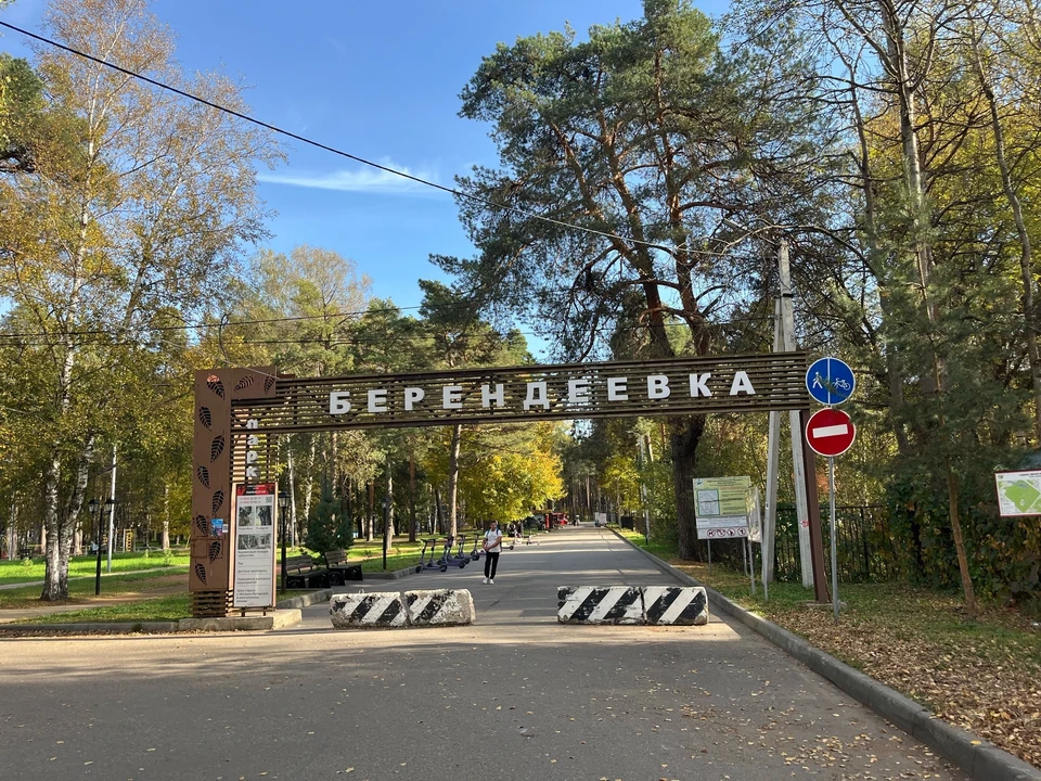 Фото: Анна Апурина