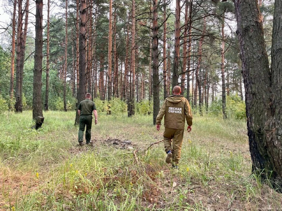 Фото: пресс-служба администрации Костромской области