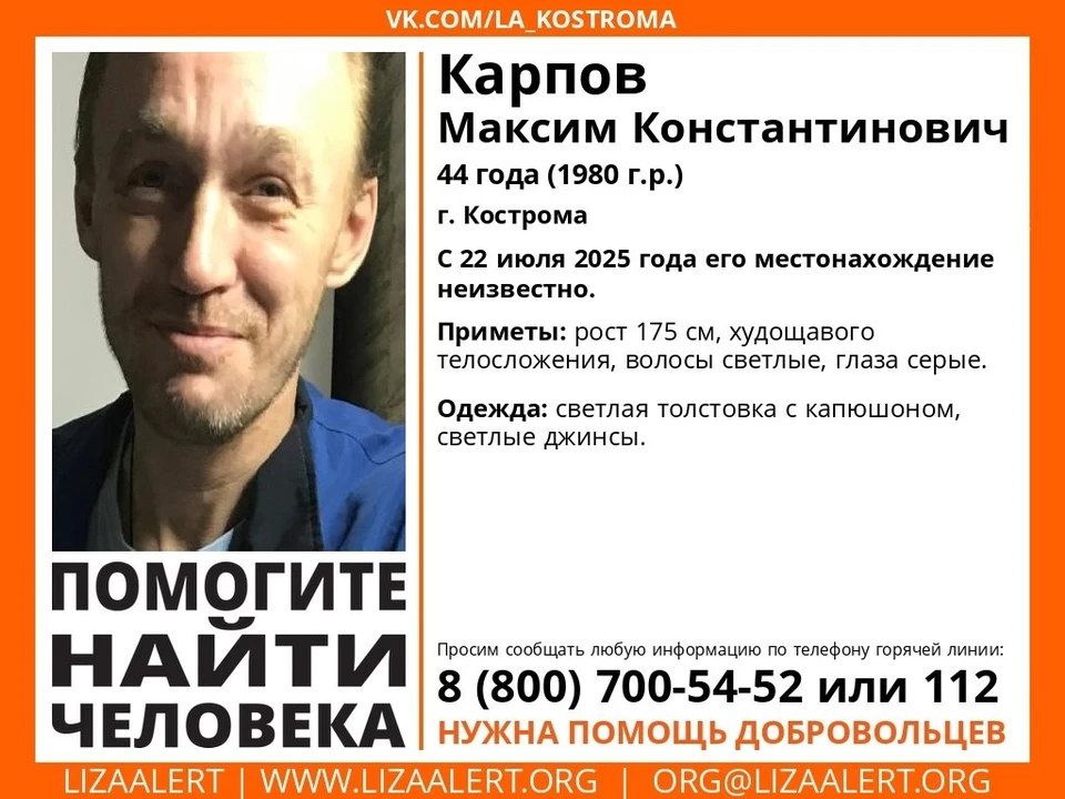 Фото: ДПСО "ЛизаАлерт" Костромской области