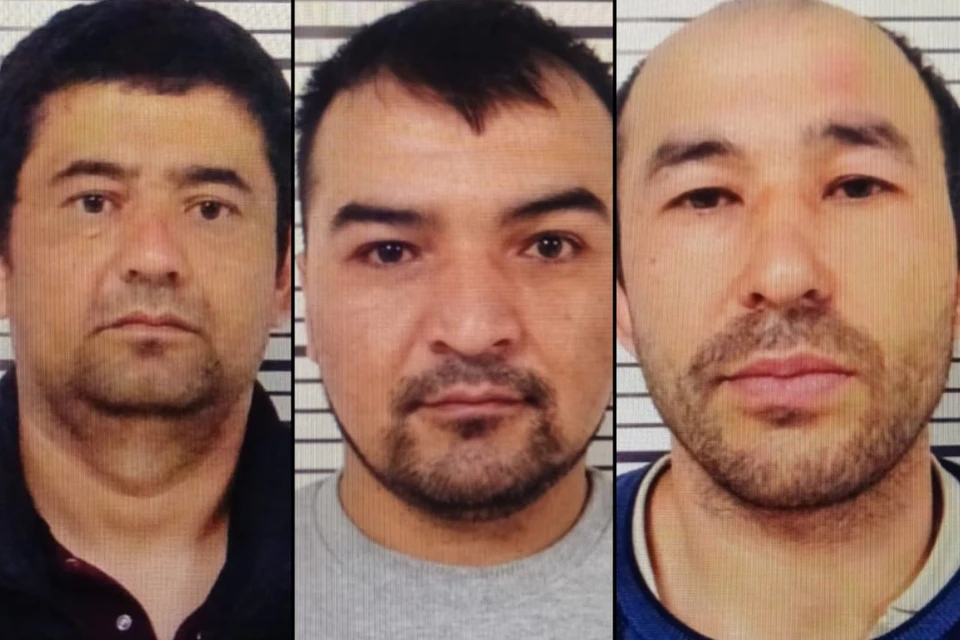 Три товарища из стран Азии фиктивно прописали 60 соотечественников в шести квартирах в Колпинском районе. Фото: t.me/spb_police78