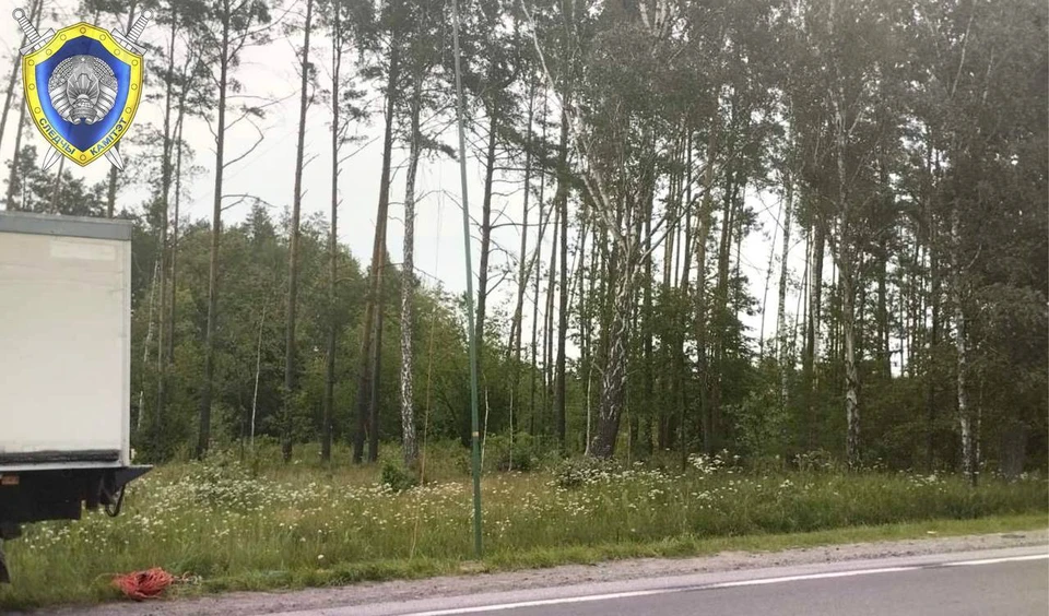 Под Речицей двое мужчин погибли от удара током, задев металлическим оборудованием ЛЭП. Фото: СК Беларуси