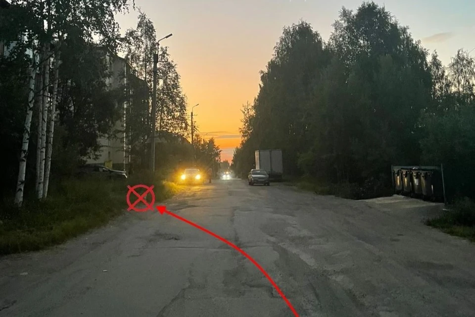 Фото: Госавтоинспекция Коми