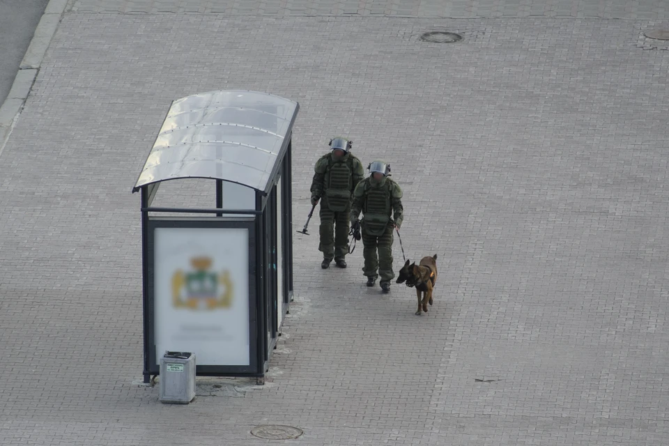 В Ростовской области после атаки БПЛА погибли два сапера, которые разминировали дрон.