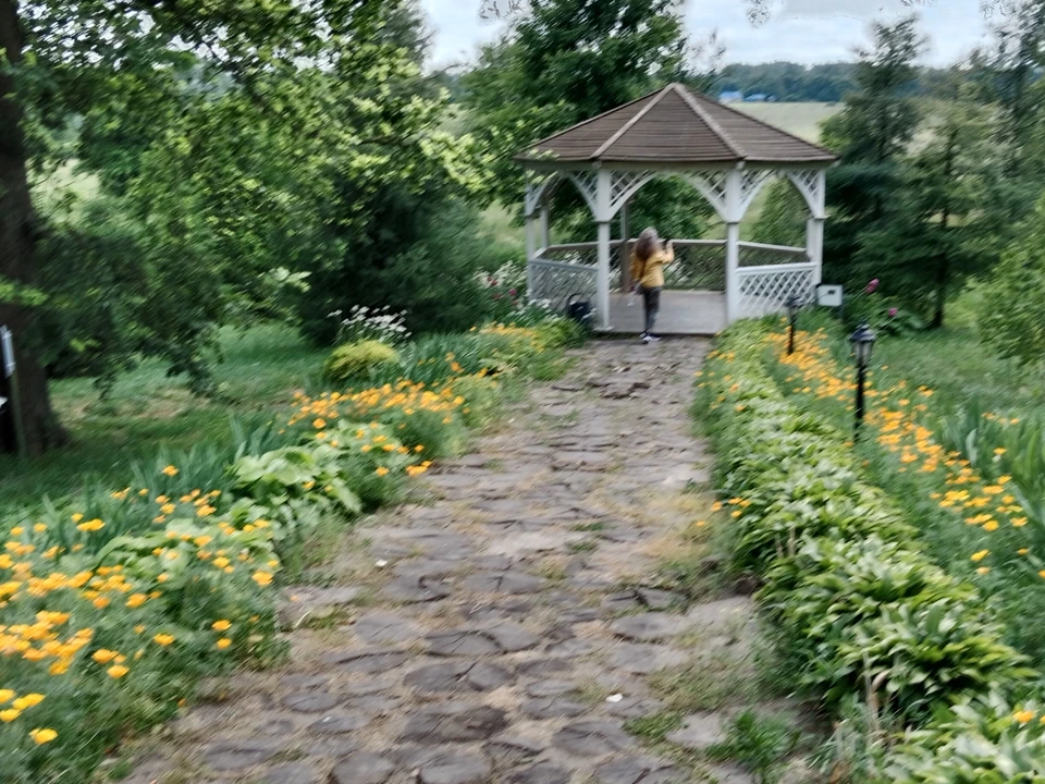 На природе курянам советуют носить одежду с длинными рукавами и плотными манжетами, а также брюки, заправленные в носки