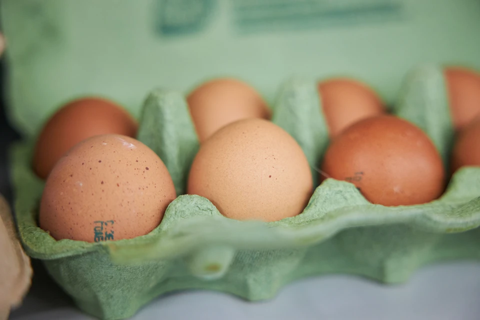 Фото: архив "КП".