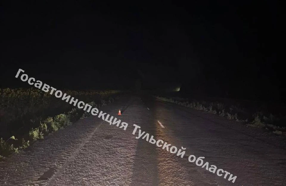 В ДТП в Ефремовском районе пострадали водитель и девушка-пассажир мопеда.