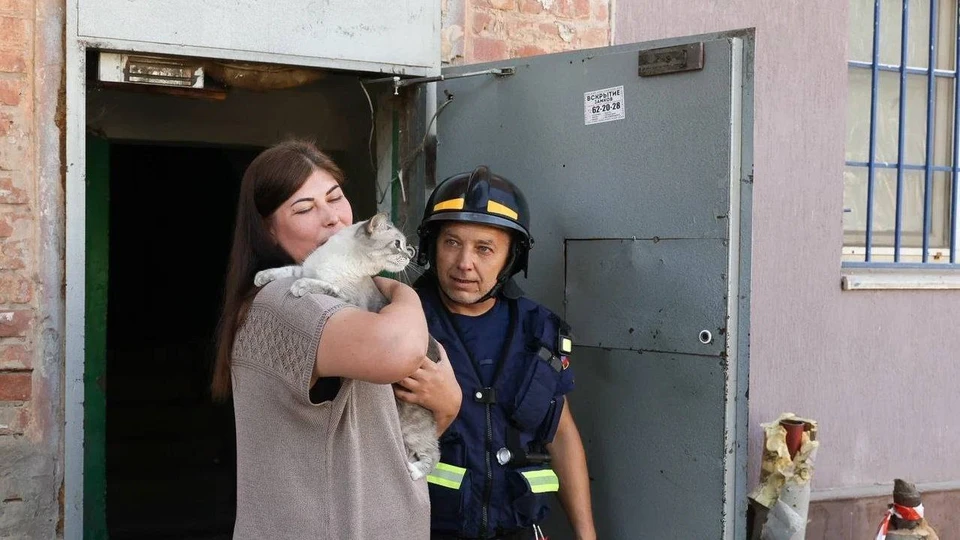 Женщина поблагодарила за оперативное возвращение животного