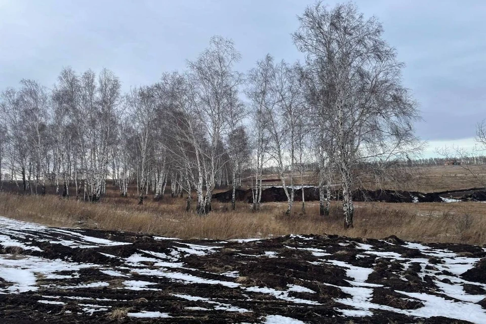 Фото: прокуратура Красноярского края