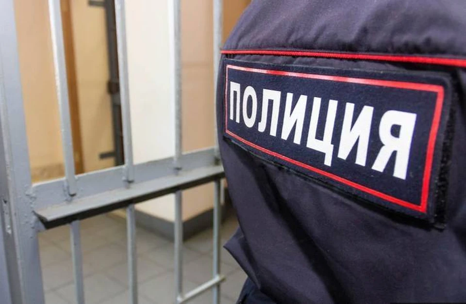В Якутске мужчина избил посетителя заведения — возбуждено дело Фото: МВД Якутии