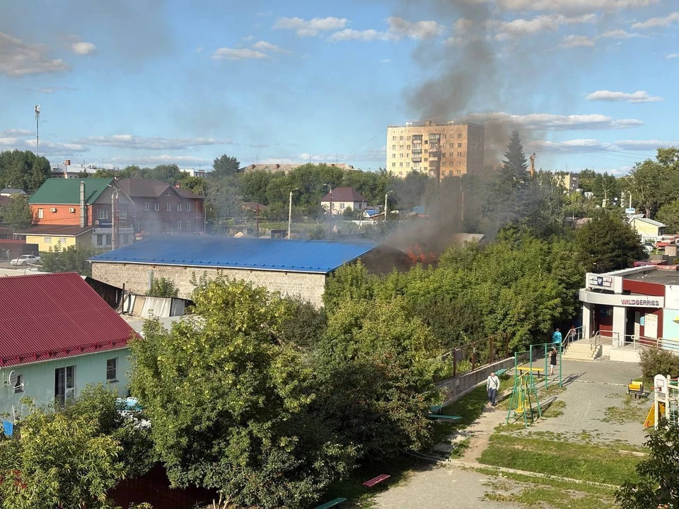 Фото: читатель КП