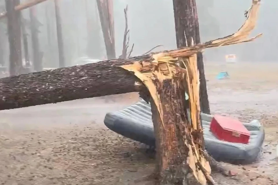 Кадр видео: предоставлено очевидцем