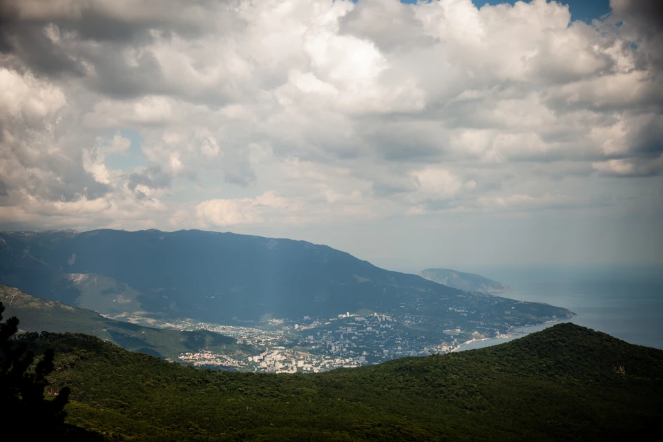 Фото: архив "КП"