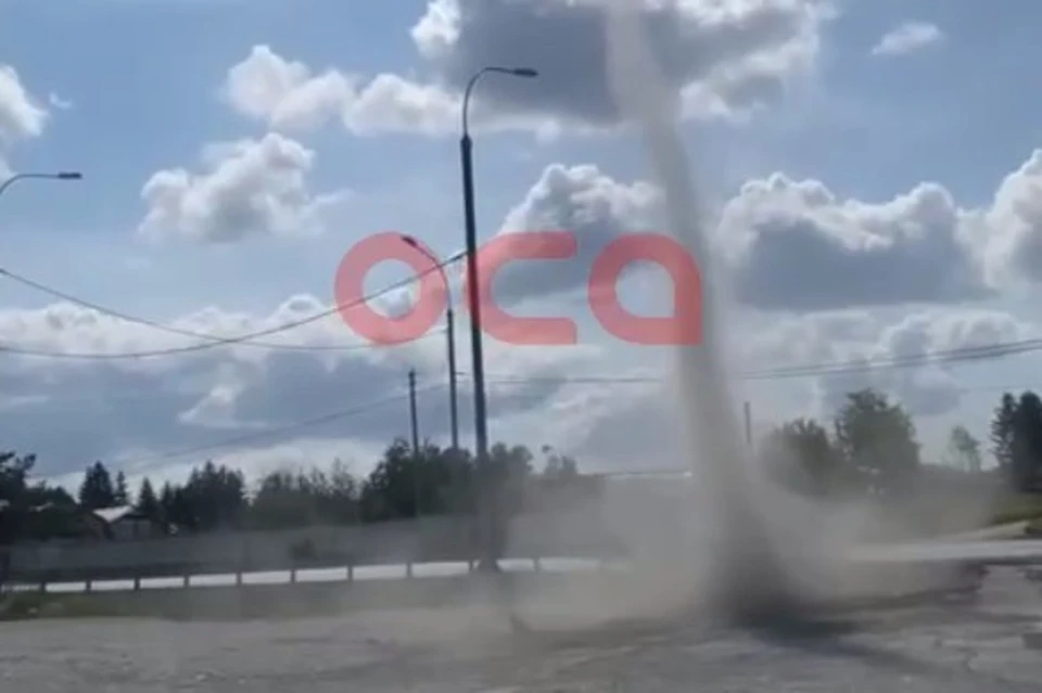 Скриншот: видео «ОСА»