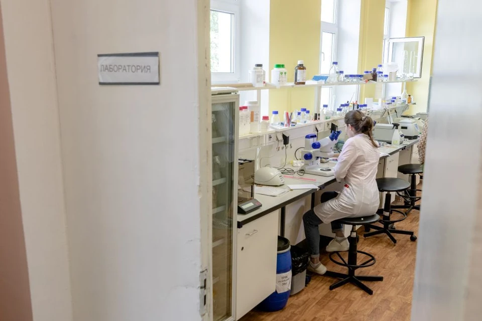 Учёные будут создавать замену дорогим зарубежным препаратам для лечения рака