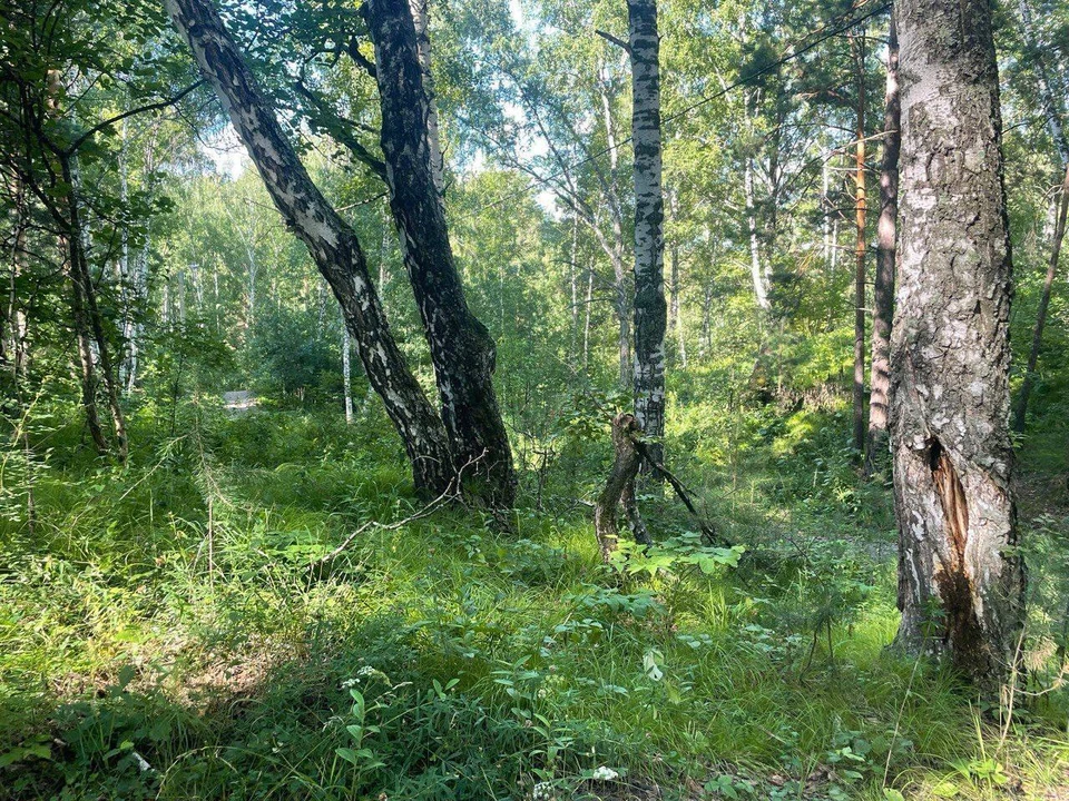 Фото: прокуратура Томской области