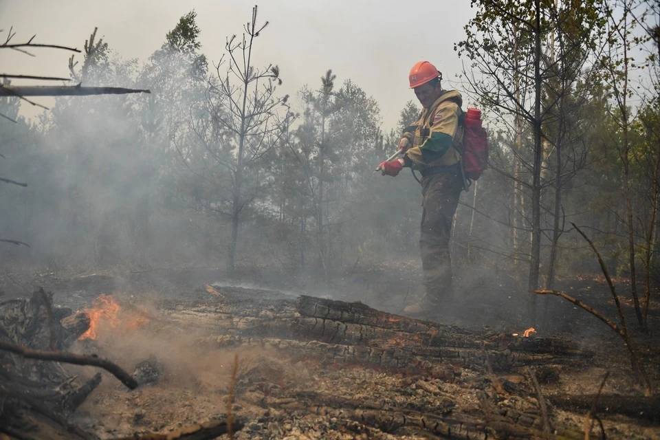 В Крыму сохранится чрезвычайная пожарная опасность с 9 по 12 августа