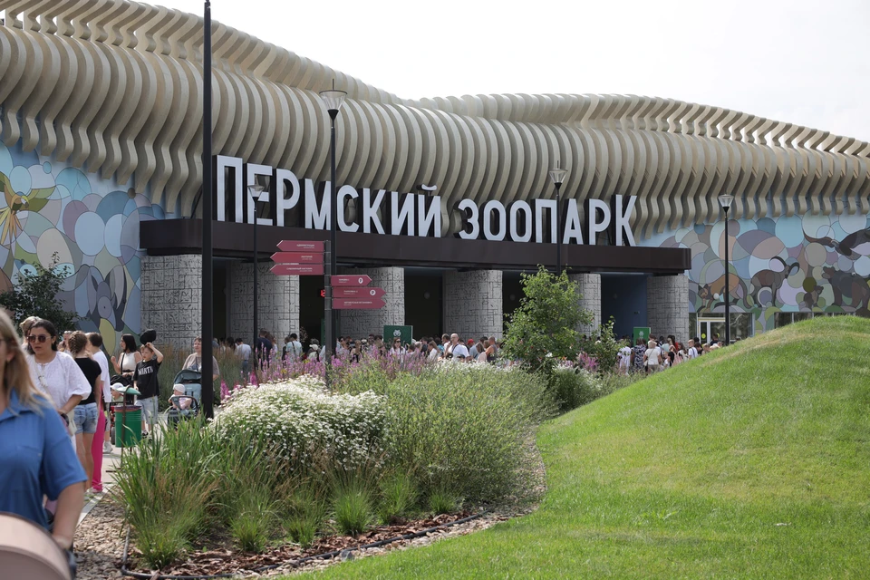 В первый день работы зоопарк посетили более 20 тысяч посетителей.