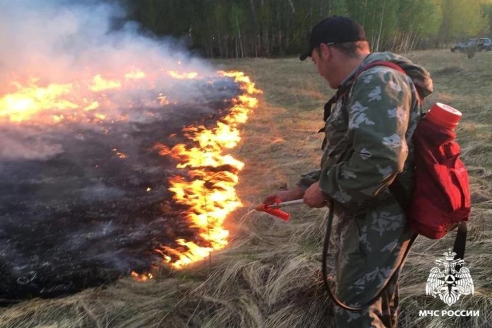 В Новосибирской области 12 тысяч добровольцев помогают тушить пожары. Фото: пресс-служба ГУ МЧС по Новосибирской ообласти