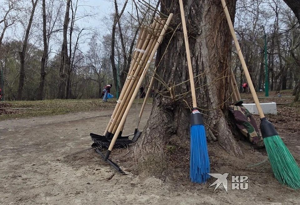 Власти пообещали убрать незаконную свалку
