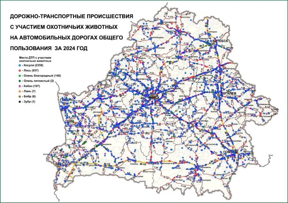Карта уже доступна. Фото: Белдорцентр.