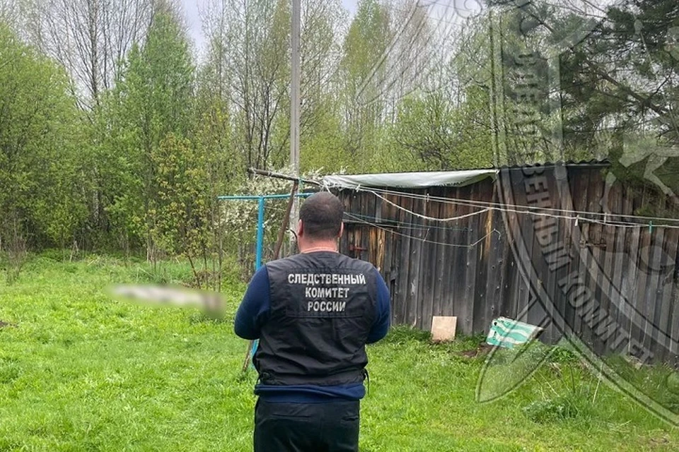 В Костромской области невменяемый мужчина задушил женщину.