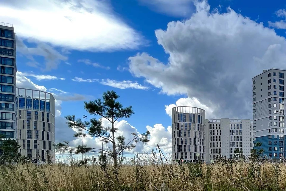 Их проектирование начнут в 2025 году. Фото: Смольный