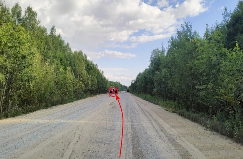 Фото: Госавтоинспекция Коми