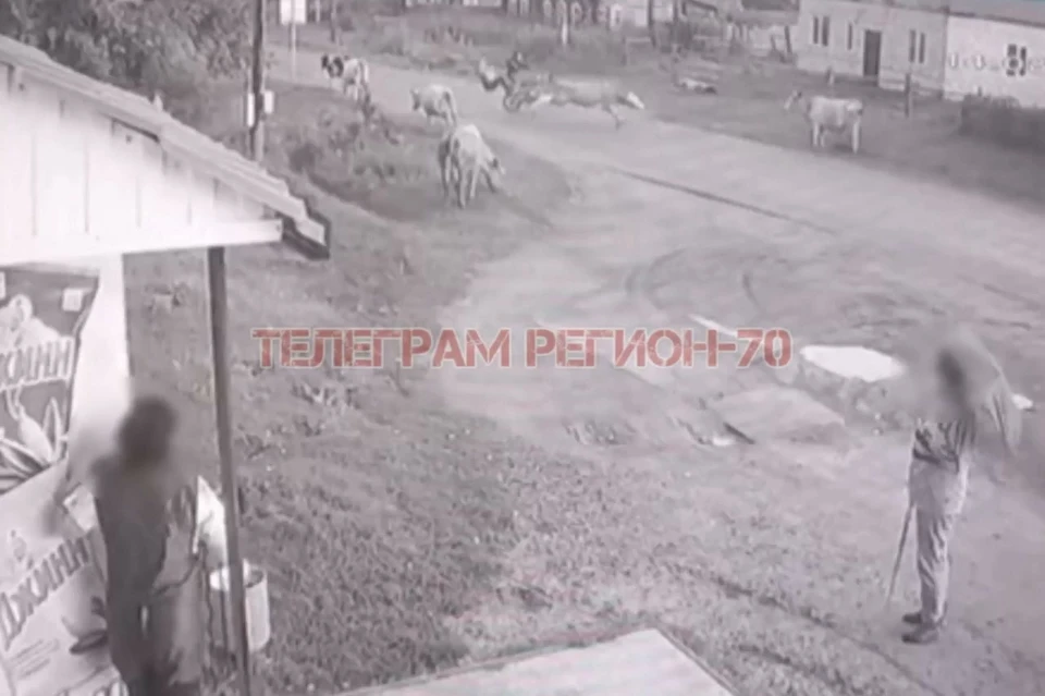 Фото: телеграм-канал «Регион-70»