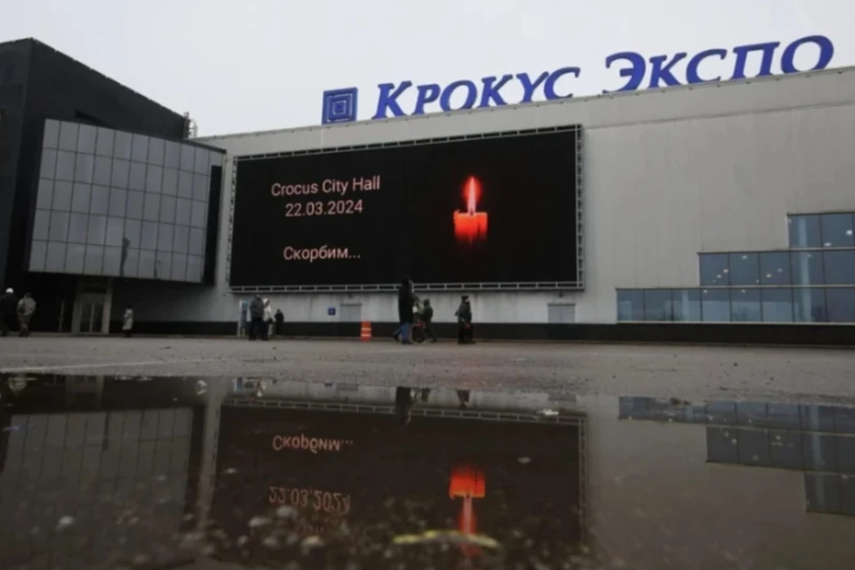 Террористы из «Крокуса» по приказу жарили шашлыки в лесополосе для конспирации