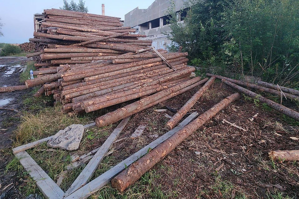 Фото: пресс-служба СУ СК России по Пермвкому краю