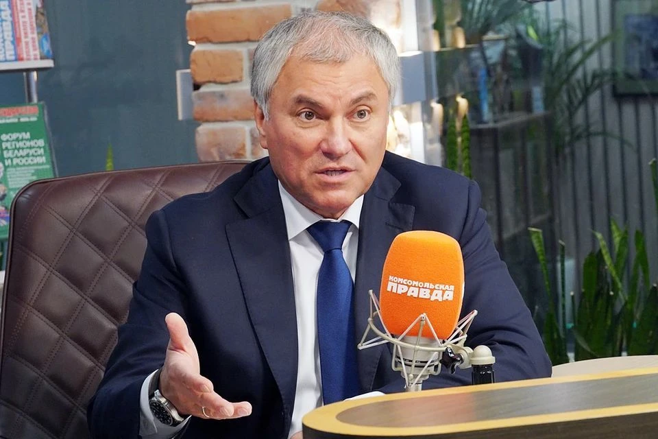 Володин рассказал о работе законов против нелегальной миграции