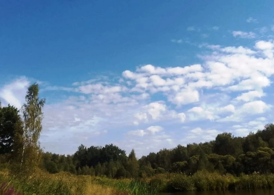 Самый тёплый день недели будет с осадками.