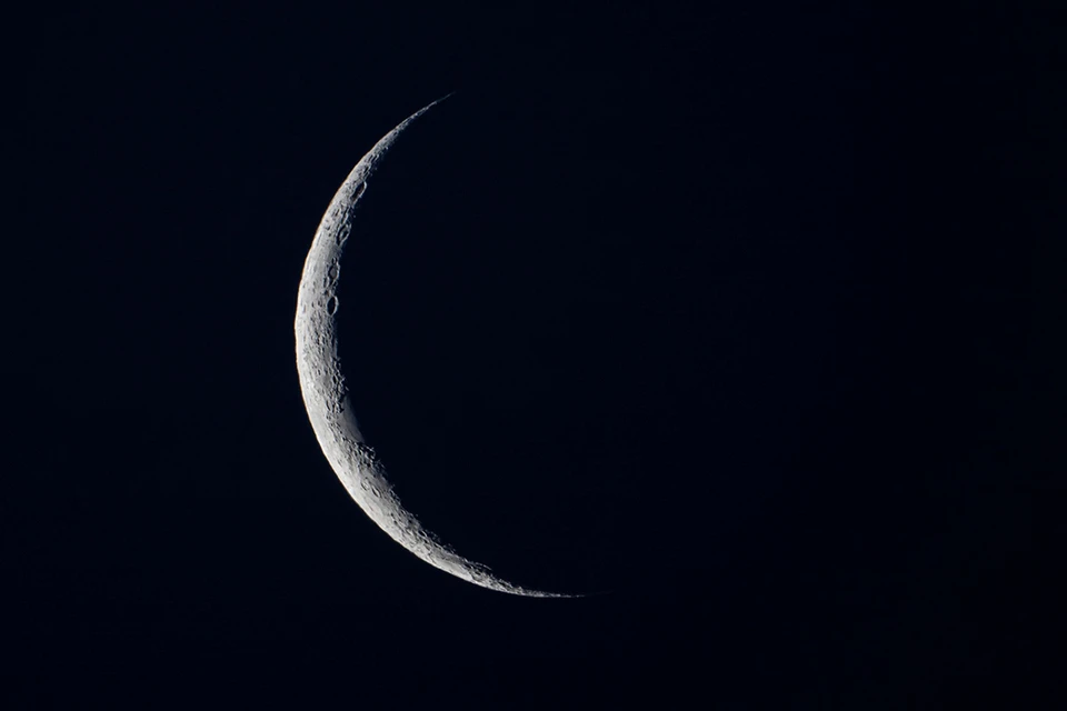 Фото: janush/Shutterstock/Fotodom