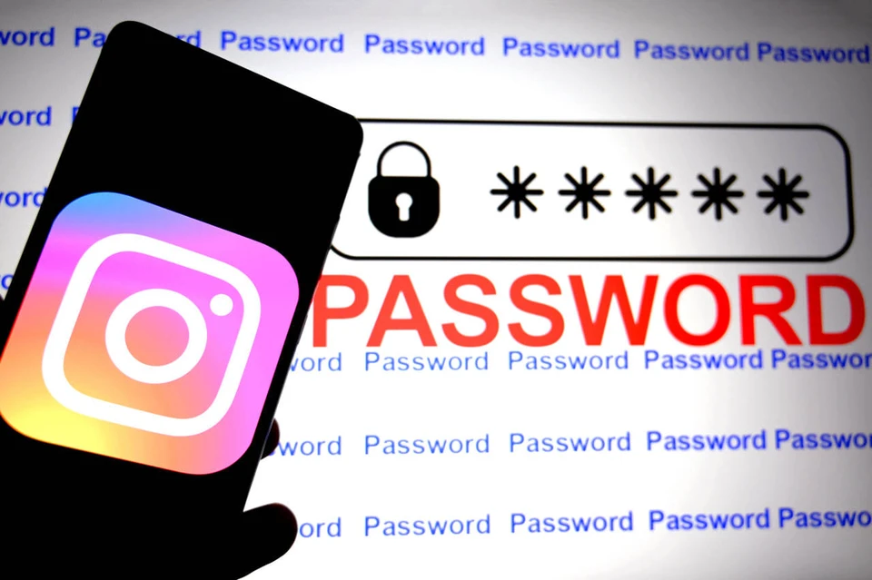Суд запретил распространять информацию о способах верификации в Instagram*