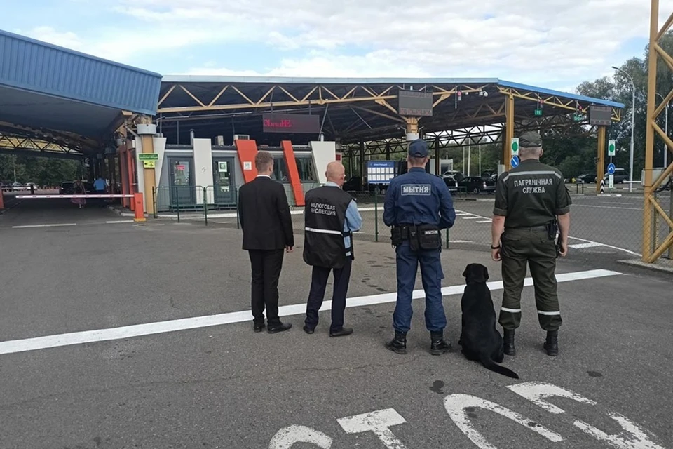 МНС озвучило схему незаконного вклинивания в очередь на выезд из Беларуси. Фото: nalog.gov.by