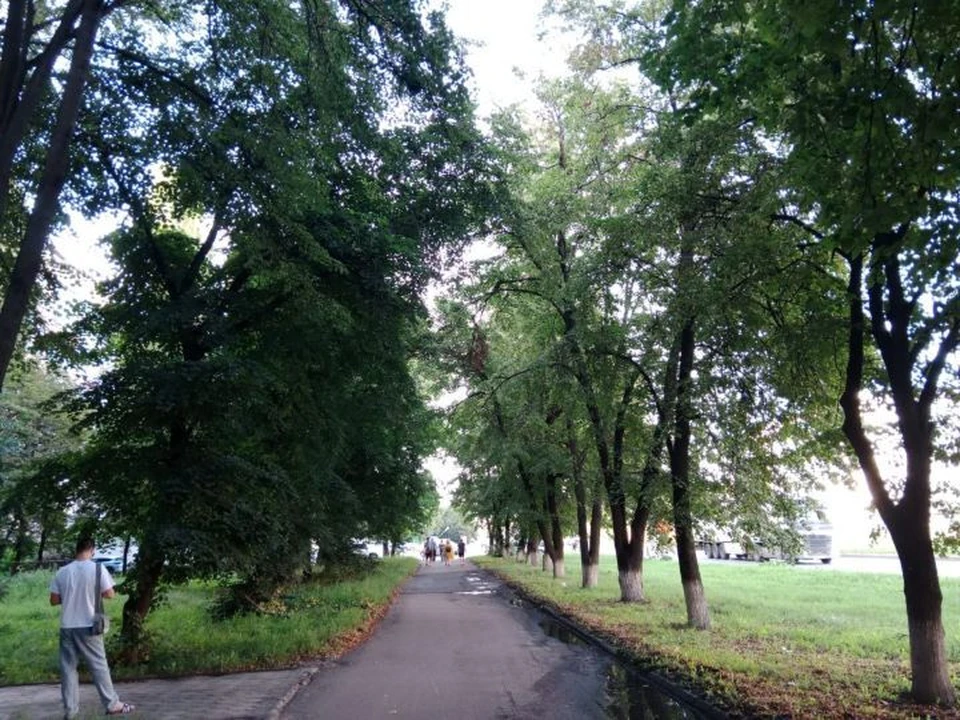Зеленые уголки украшают город