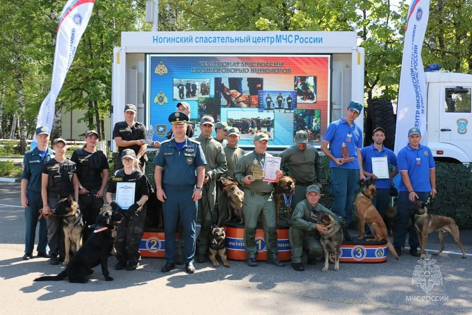 Спасатели и их собаки продемонстрировали уникальные навыки и безупречную командную работу. Фото: МЧС России по ДНР