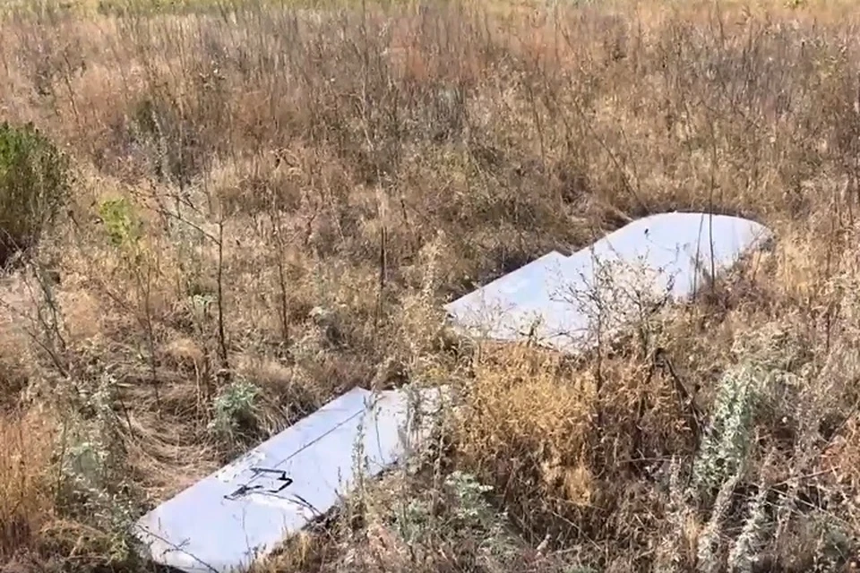 «Купол Донбасса» отразил комбинированную атаку БПЛА ВСУ на Макеевку и Докучаевск. Фото: УФСБ России по ДНР
