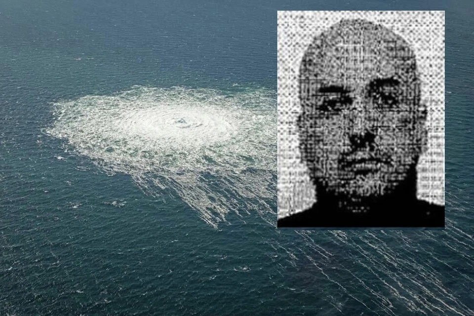 Франция может выдать ФРГ подозреваемого в подрыве «Северных потоков» украинца