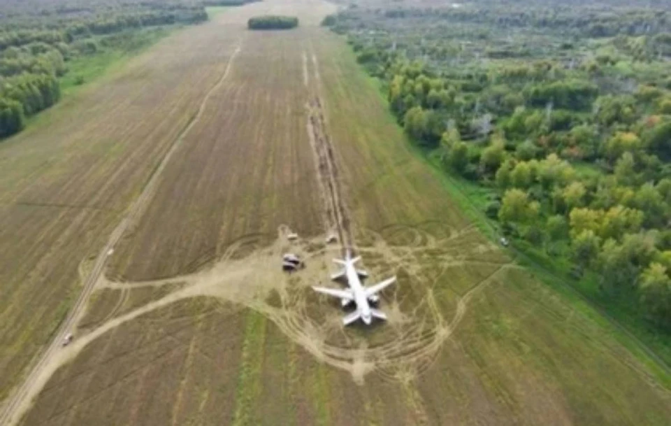 Командиру, посадившему самолет в поле под Новосибирском, предъявили обвинение. Фото: пресс-служба "Уральских авиалиний"