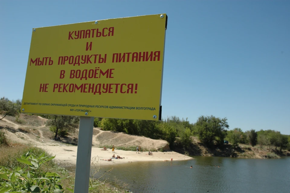 Людям в этом пруду купаться уже давно запретили из-за опасного для здоровья состава воды.