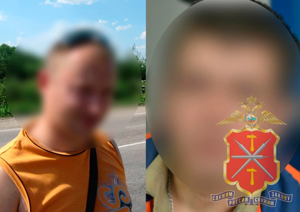 Кража строительной лестницы из торгового центра раскрыта в Новомосковске Тульской области