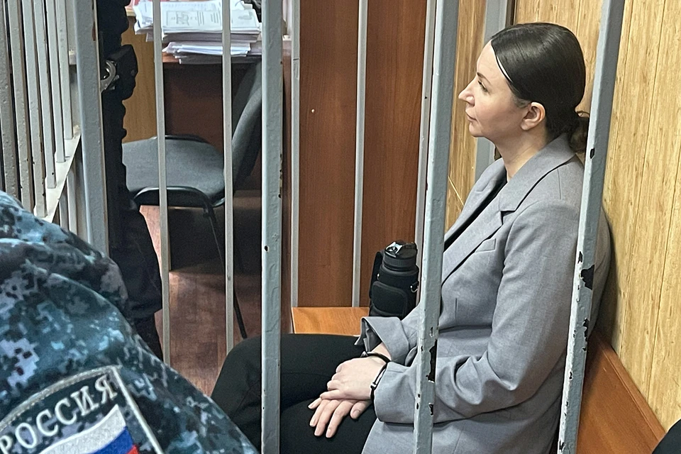 Некоторые эксперты считают, что адвокаты Елены Блиновской могут пытаться затянуть процесс апелляции, чтобы женщина дольше оставалось в СИЗО