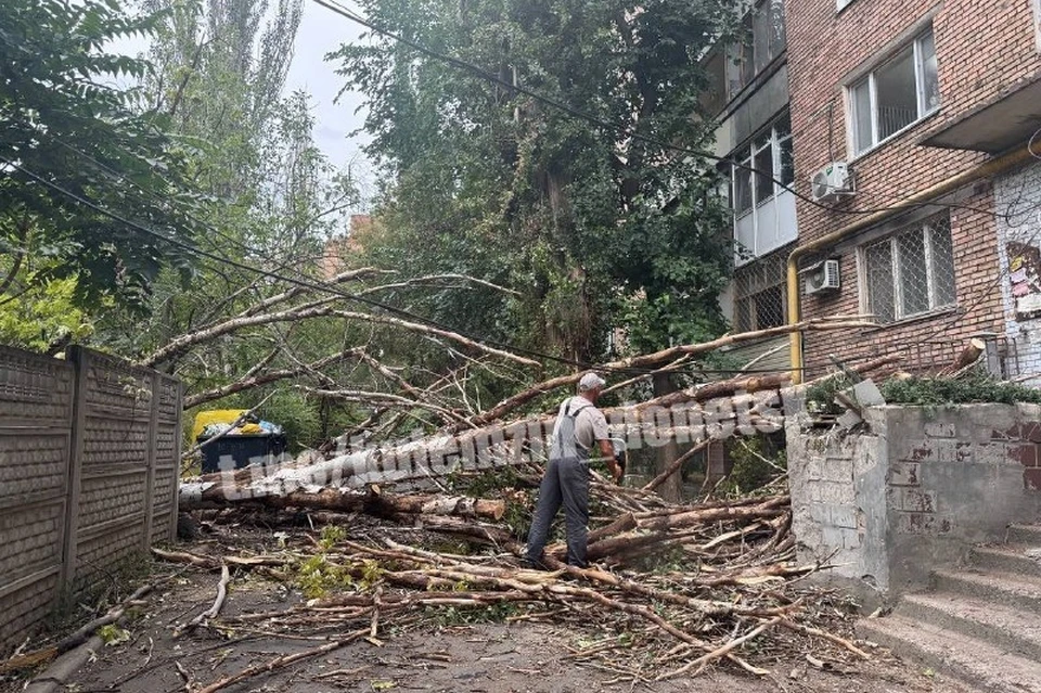 Коммунальные службы совместно со специалистами из шеф-региона Москвы оперативно приступили к расчистке дорог и распилу упавших деревьев. Фото: ТГ/Кулемзин