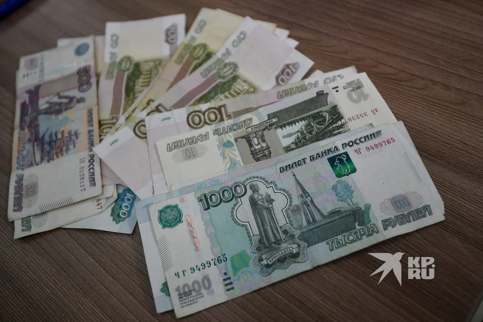 Условный срок и 194 тысячи штрафа: садовод заплатил за спил мешавшей сосны