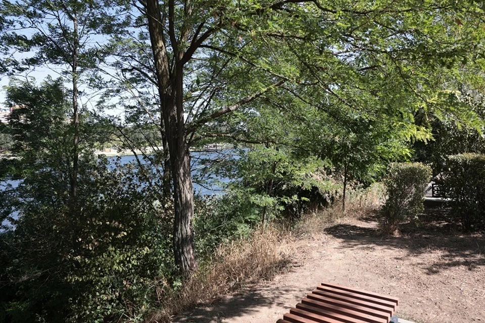 Обновление планируют провести на 3 га прибрежной части Северного водохранилища. Фото: сайт правительства Ростовской области