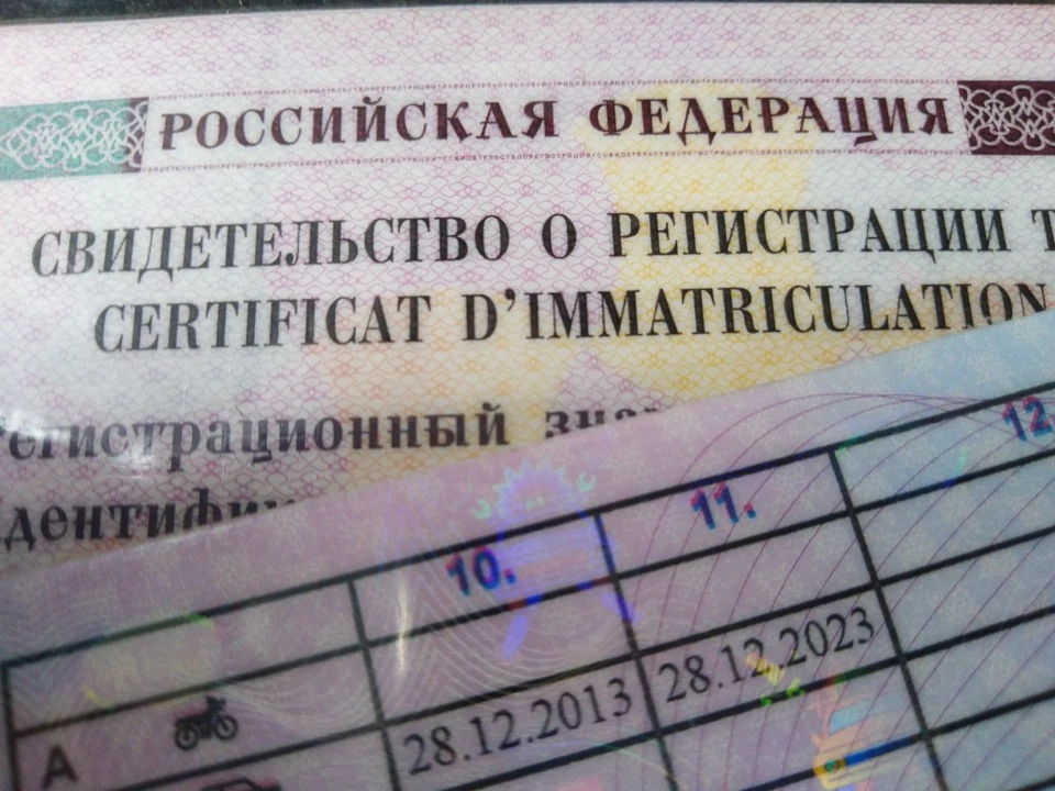 Фото Елены Федяшевой